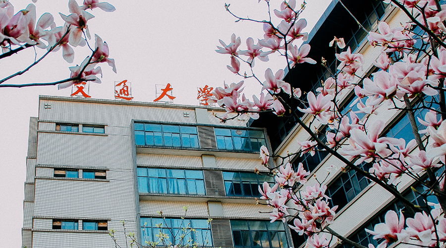 南岸——诗意