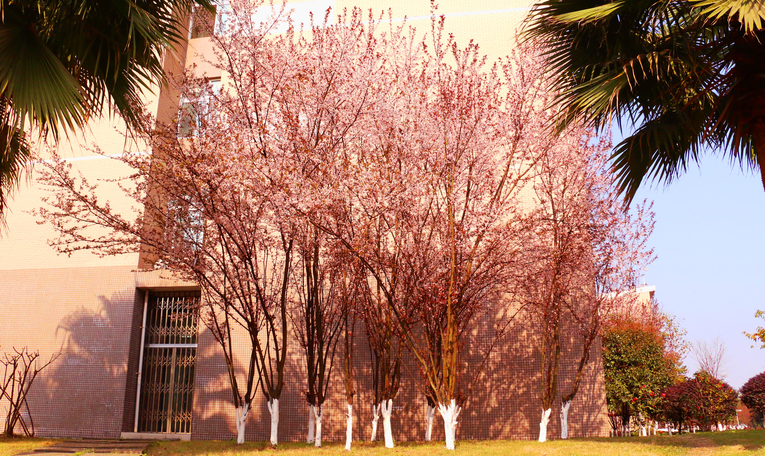 科学城——四季